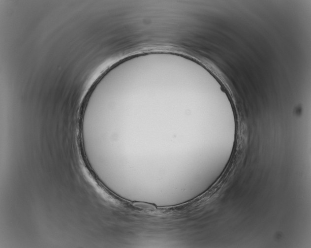 X0000115701005200912031501