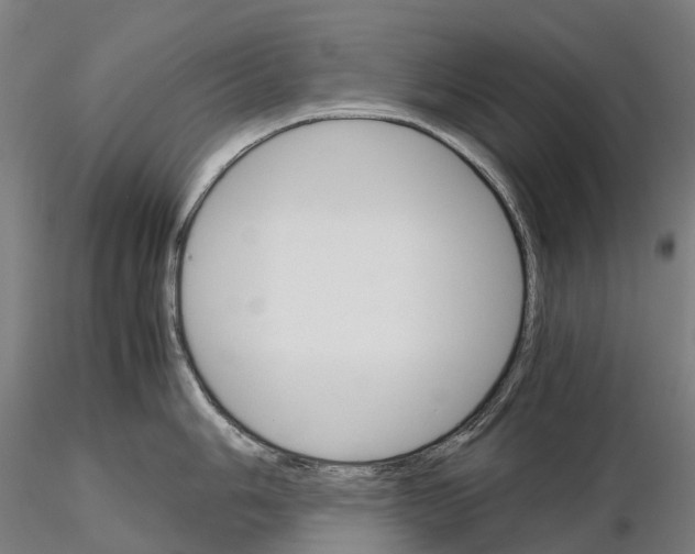 X0000115701006200912031501