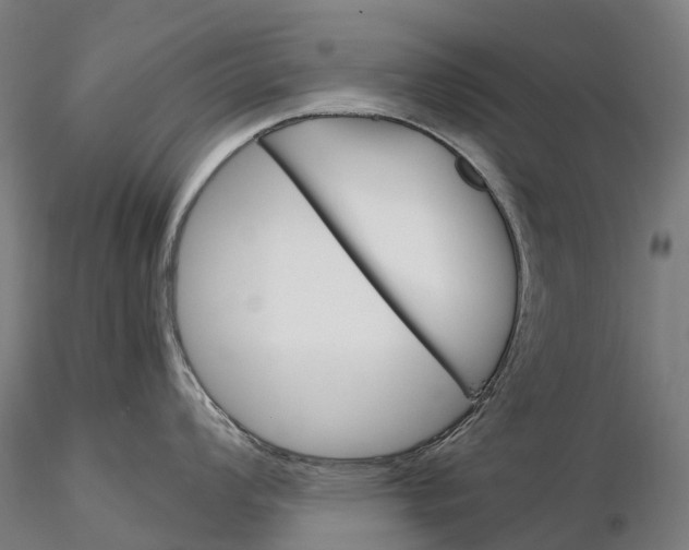 X0000115701008200912031501