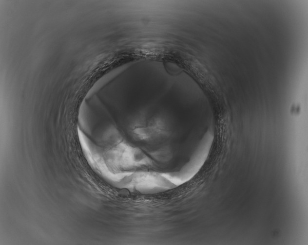 X0000115701009200912031500