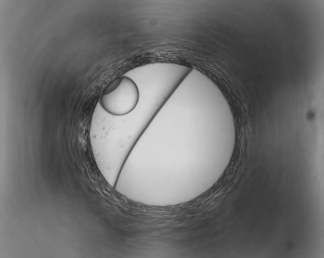 X0000115701010200912031500