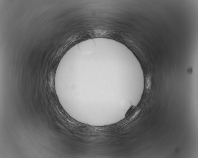 X0000115701011200912031500