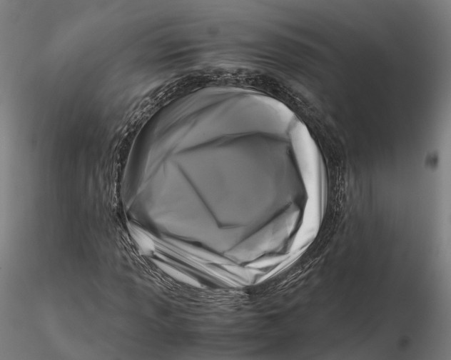 X0000115701013200912031500