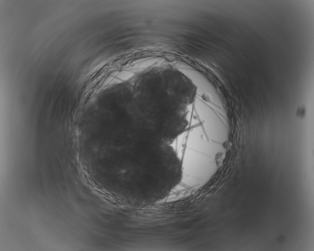 X0000115701015200912031500