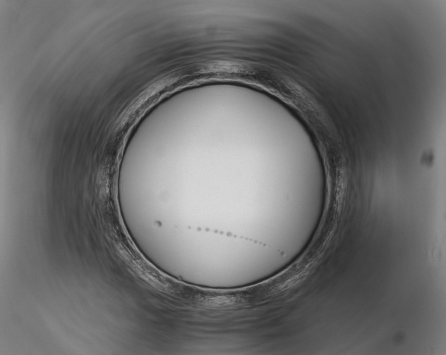 X0000115701017200912031500