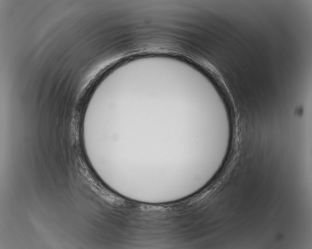 X0000115701019200912031500