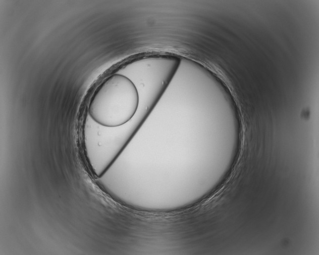 X0000115701020200912031500