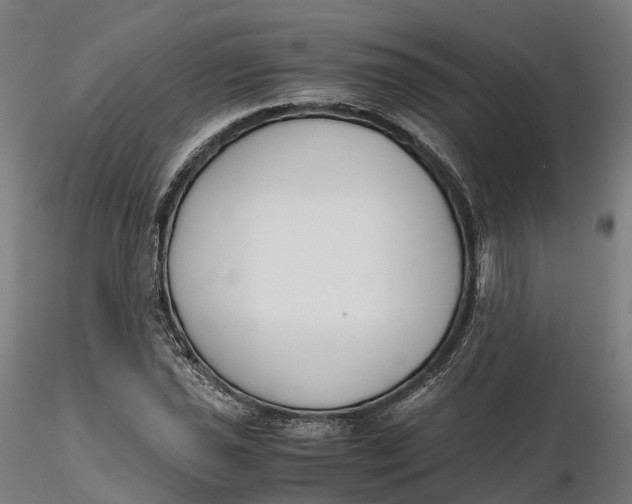 X0000115701021200912031500