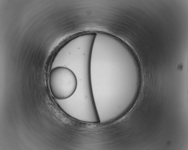 X0000115701022200912031500