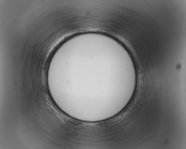 X0000115701023200912031500