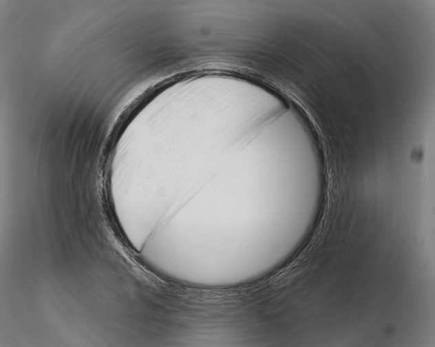 X0000115701024200912031500