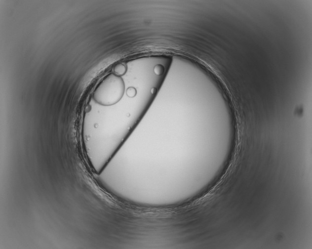 X0000115701026200912031500