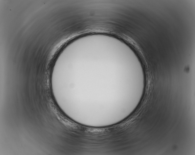 X0000115701027200912031500