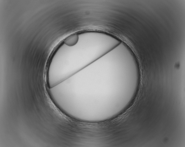 X0000115701028200912031500