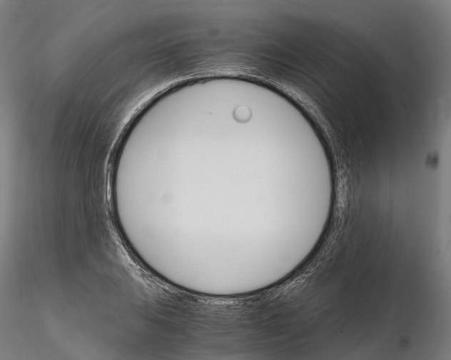 X0000115701031200912031500