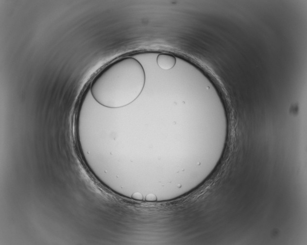 X0000115701032200912031500