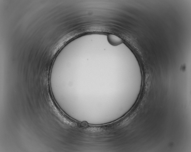 X0000115701033200912031500