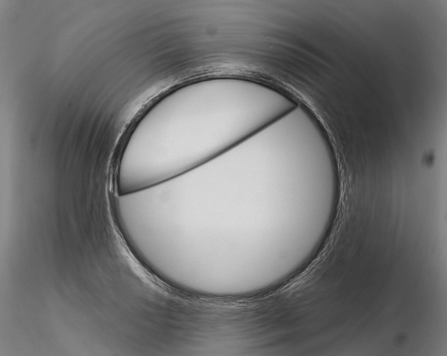 X0000115701034200912031500