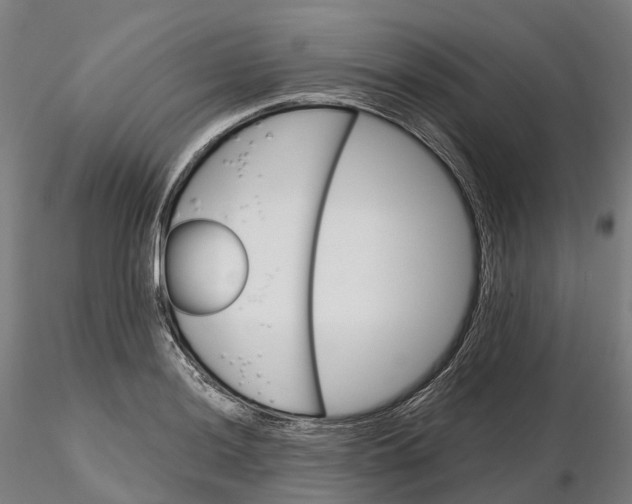 X0000115701036200912031500