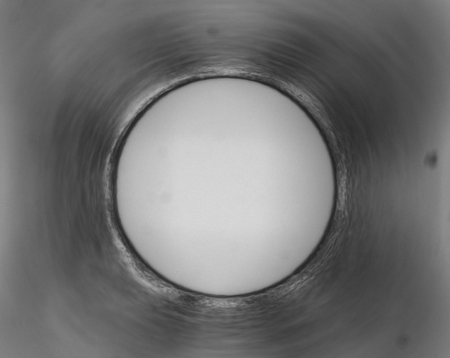 X0000115701039200912031500