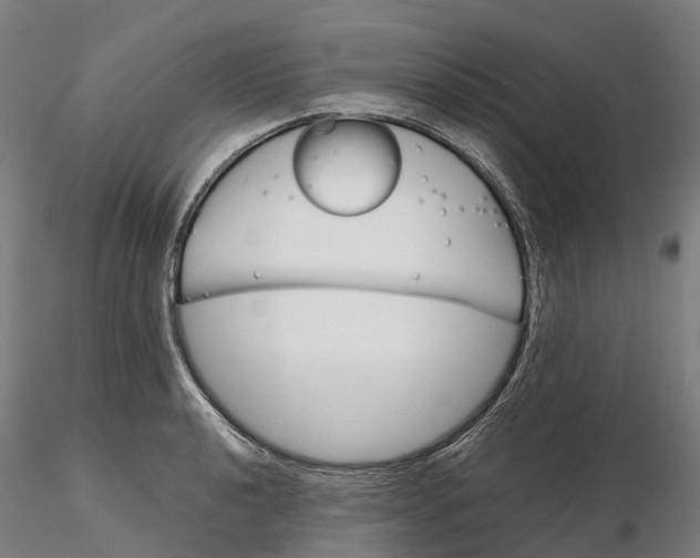 X0000115701040200912031500