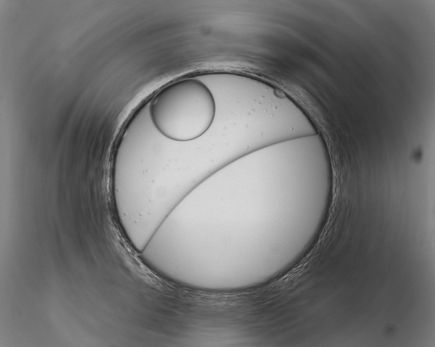 X0000115701044200912031500