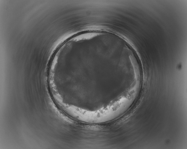 X0000115701045200912031500