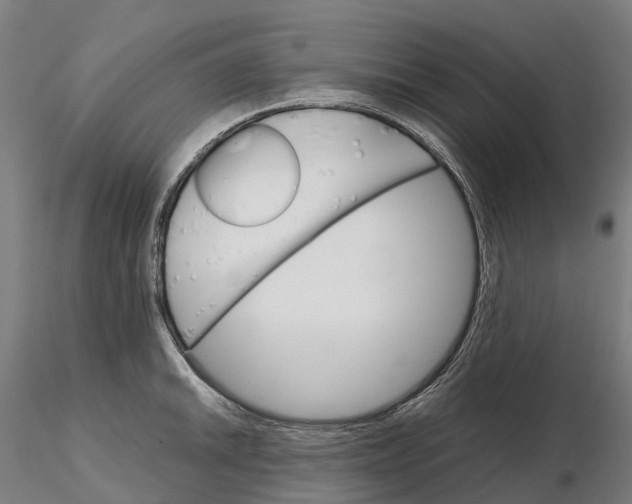 X0000115701046200912031500