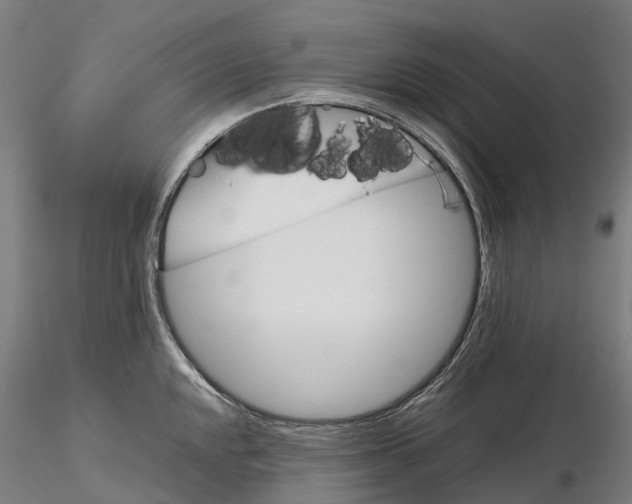 X0000115701048200912031500