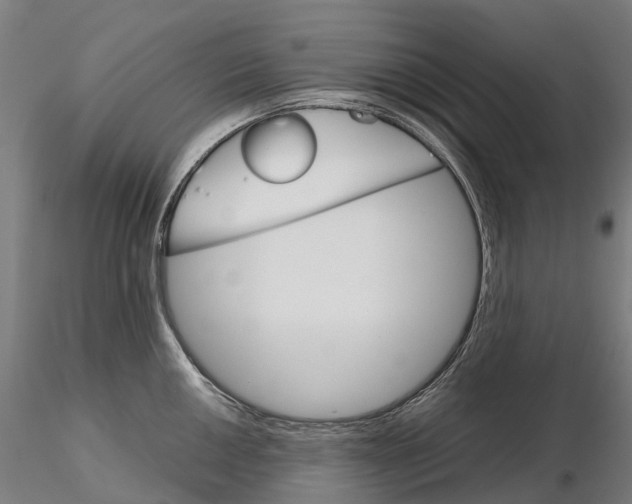 X0000115701050200912031501