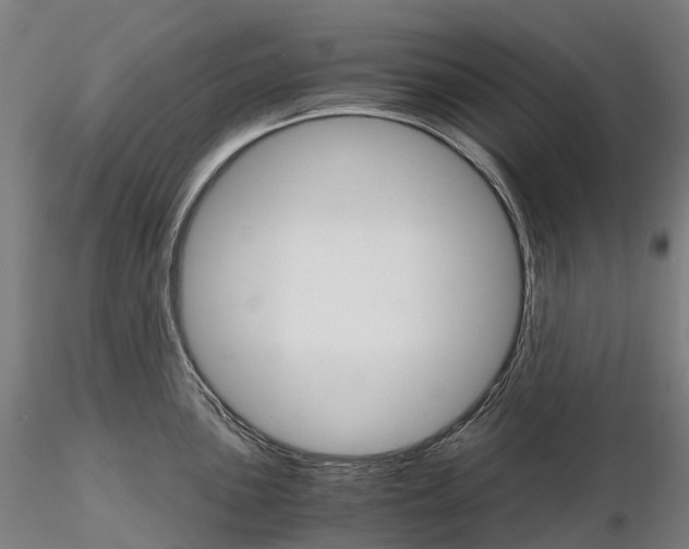 X0000115701051200912031501