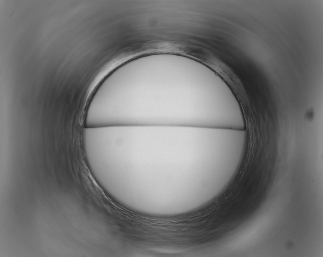 X0000115701052200912031501