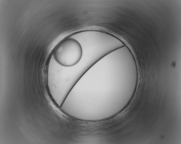 X0000115701054200912031501