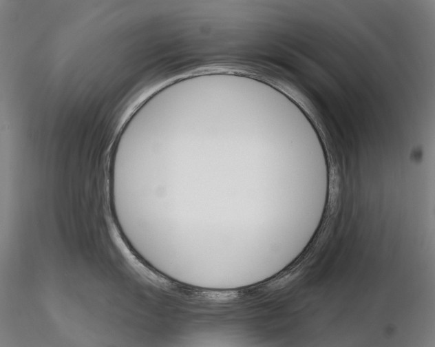 X0000115701055200912031501