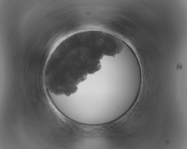 X0000115701056200912031501