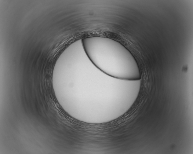 X0000115701060200912031500