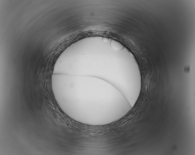 X0000115701062200912031500