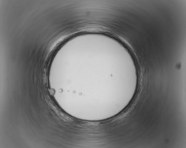 X0000115701067200912031500