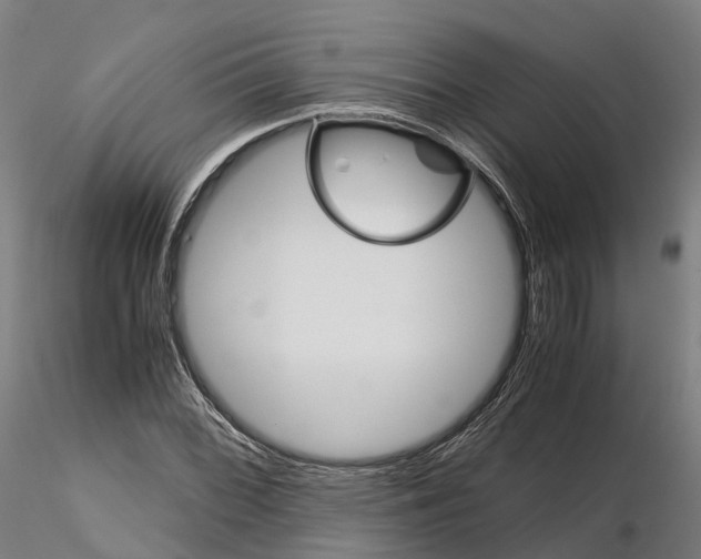 X0000115701068200912031500