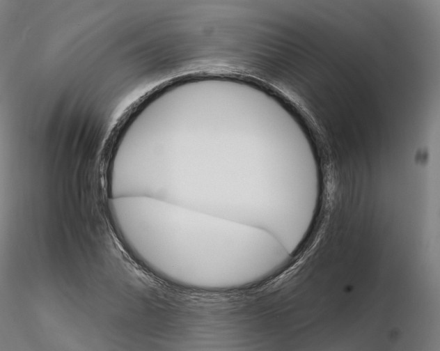 X0000115701070200912031500