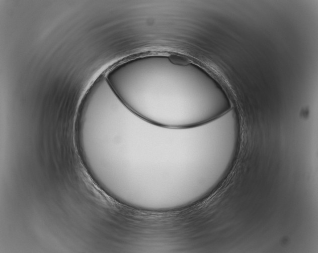 X0000115701076200912031500