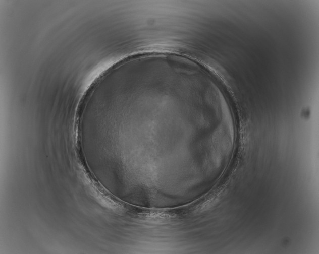 X0000115701077200912031500