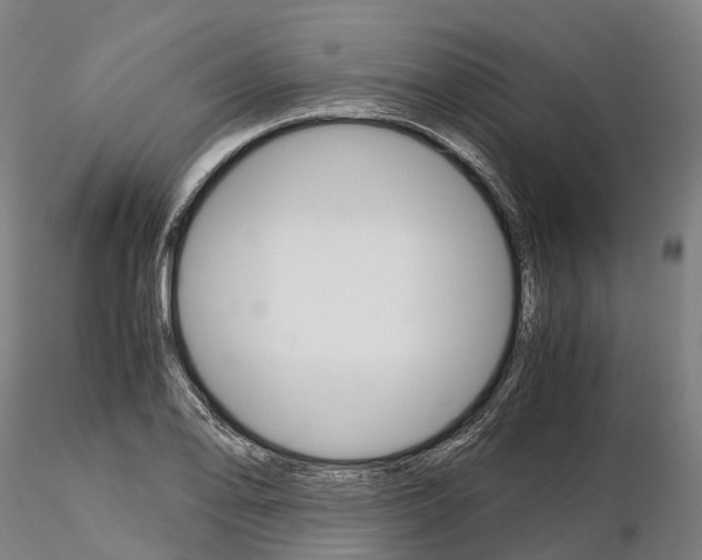 X0000115701078200912031500