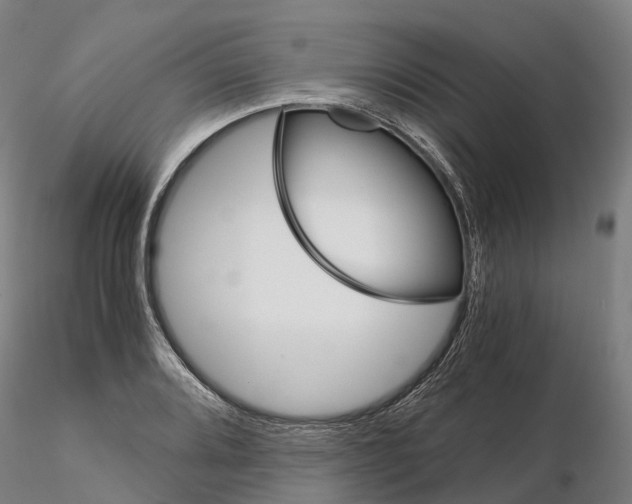 X0000115701080200912031500