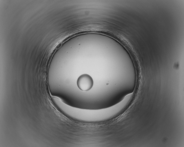 X0000115701081200912031500