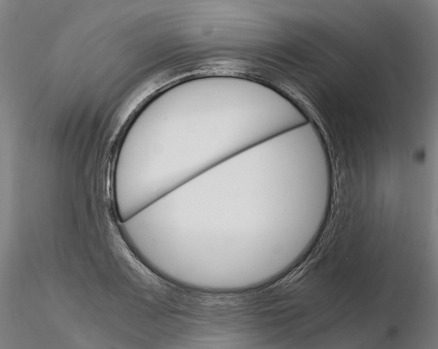 X0000115701083200912031500