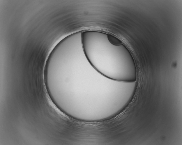 X0000115701084200912031500