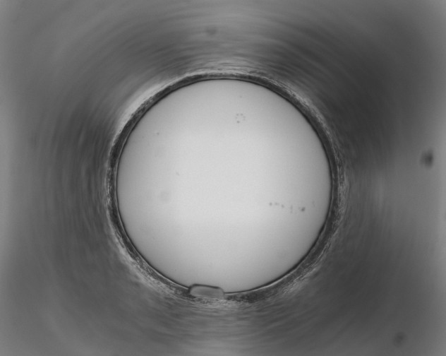 X0000115701085200912031500