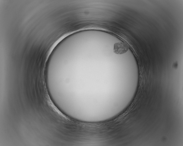 X0000115701092200912031459