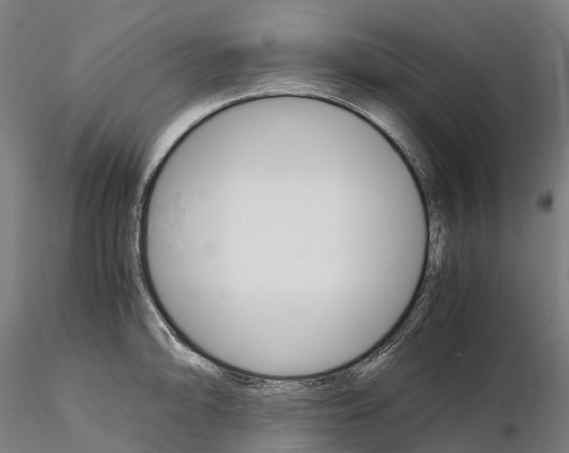 X0000115701094200912031459